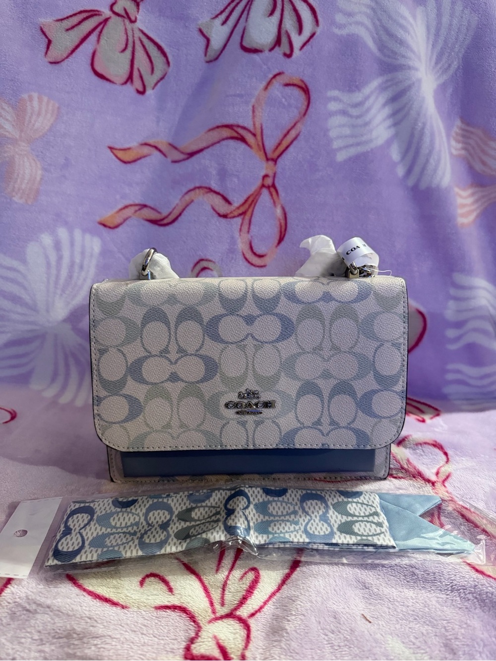 Mini Flap Crossbody in light blue and cream